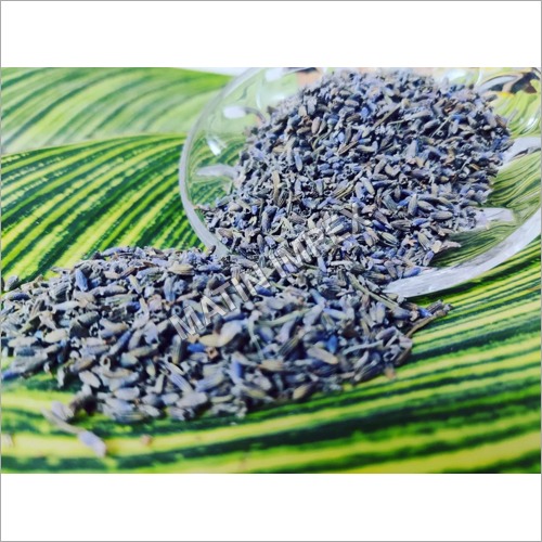 Lavender Buds