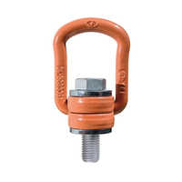 Rotating Eye Bolt With Clamp