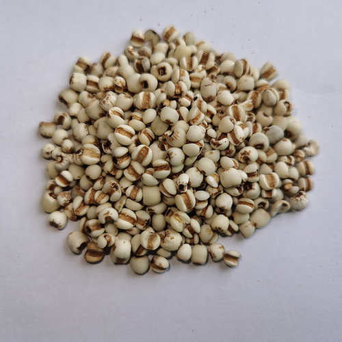 Remove Skin Edema And High Quality Coix Seed