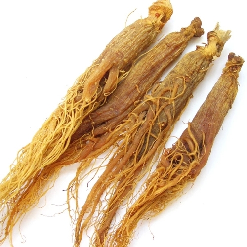 Red Ginseng From Jilin Province Changbai Mountain