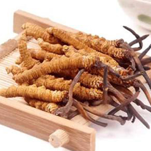 Tibetan Origin Wild Aweto Good For Manhood Herbal Cordyceps Sinensis
