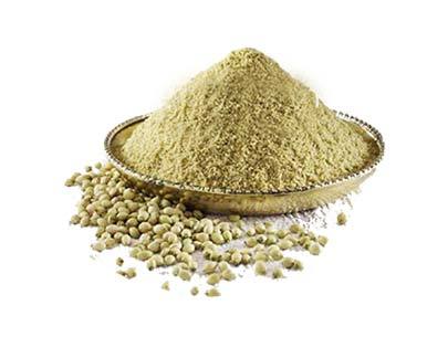 Coriander Powder