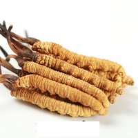 Dong Chong Xia Cao Pure Natural Cordyceps Sinensis For Immunity Enhancement