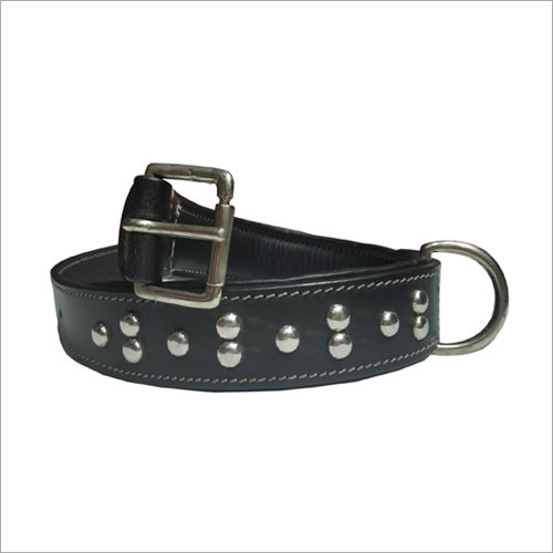 Dog Fancy Leather Collar