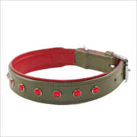 Dog Collar