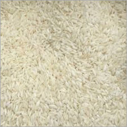 Short Grain Non Basmati Rice