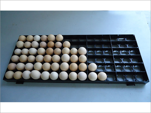 90 Eggs Setting Tray