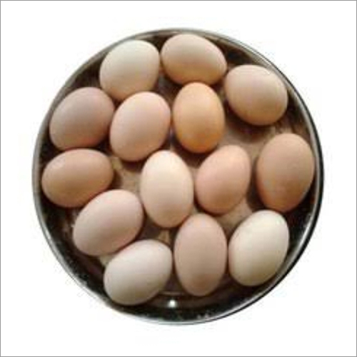 Poultry Products