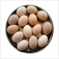 Desi Eggs