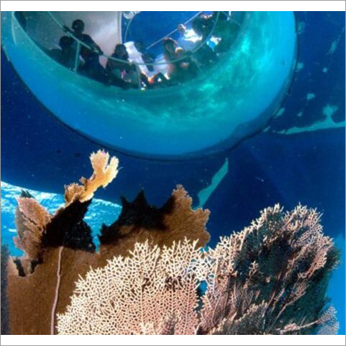 Sunset and Bath Service