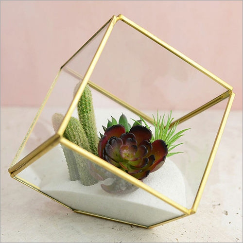 Square Shape Terrarium