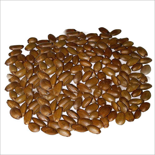 Pure Soursop Seeds