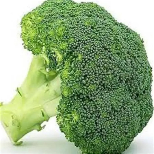 Fresh Broccoli By AGRO ENTERPRISES