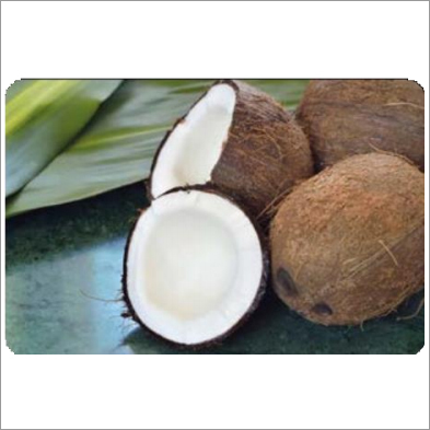 Fresh Coconut
