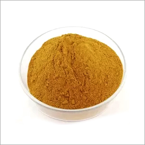 100 Percent Natural Herbal Extraction - Eucalyptus Leaf Plant Extract Powder