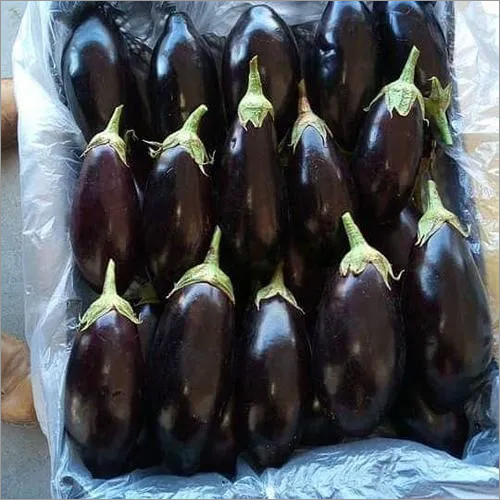 Black Eggplant Moisture (%): 100%