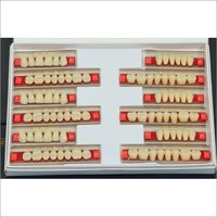 Synthetic Acrylic Teeth Set - Pmma Resin, 2 Layers, Natural Design, Set Of 3 Per Box | Advanced Manufacturing Technique, Laboratory Application