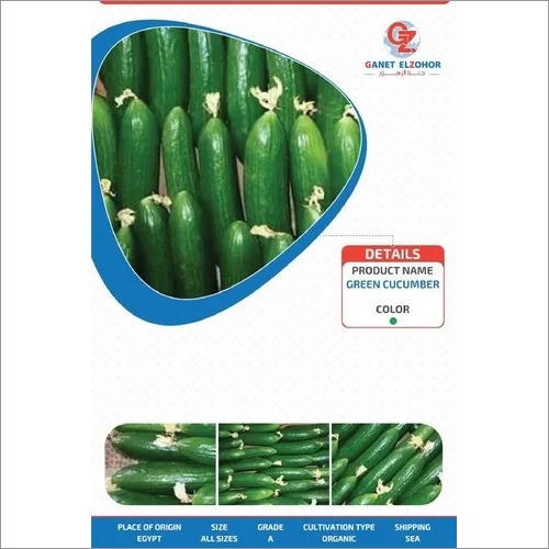 Green Cucumbers Moisture (%): 100%