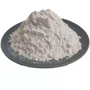 Diatomite Powder