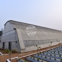 Hi-Tech Greenhouse