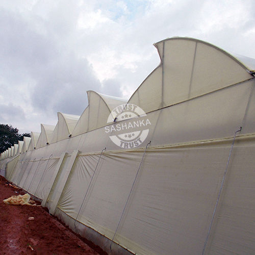Naturally Ventilated Polyhouse