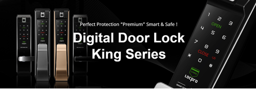 Digital Door