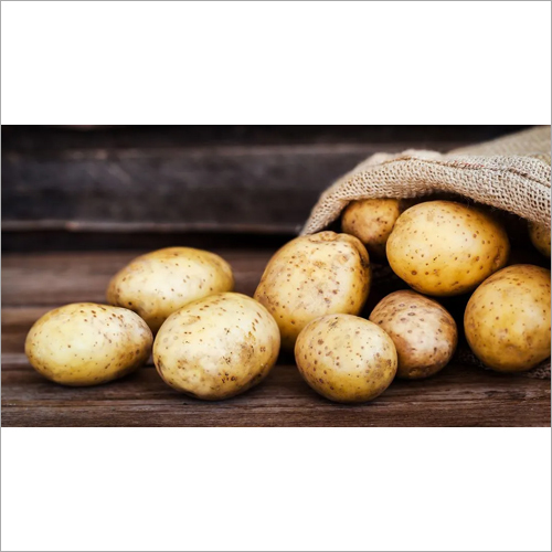 Fresh Potato - Seasoned, Dried | Versatile Root Vegetable Rich in Flavonoids, Carotenoids, and Phenolic Acids, Perfect for Households