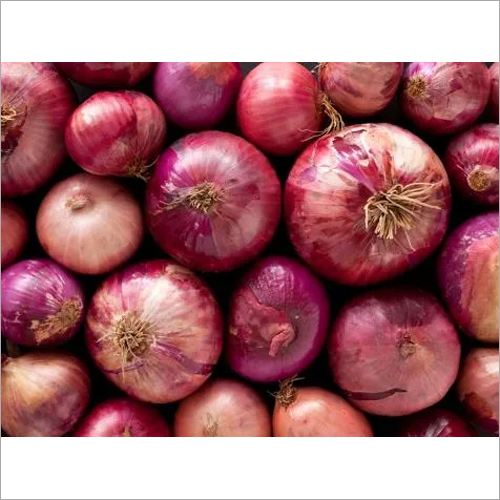 Seasoned Fresh Onion