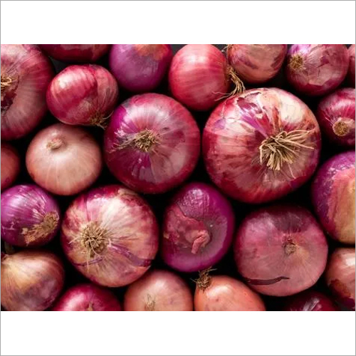 Fresh Onion - Dried, Seasoned | Antibacterial Properties, Low Calorie Staple for Every Indian Kitchen, Rich in Vitamins and Minerals