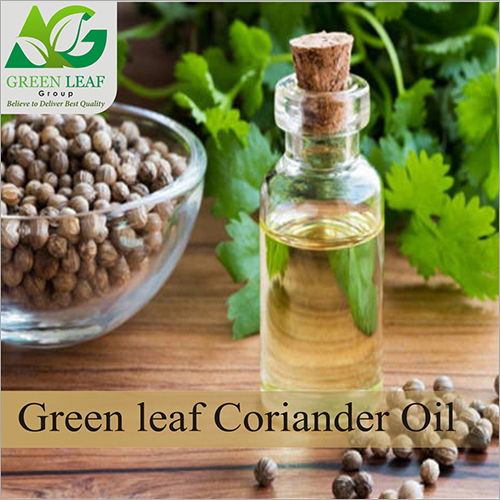 Coriander Oil