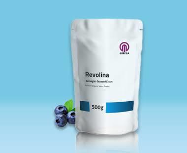 Agrisia Revolina
