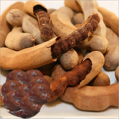 Fresh Tamarind - Sticky Pulp with Large Seeds | Sweet and Sour Flavor, High Acidity for Tenderizing Meat, Refrigerated Storage, 1-2 Weeks Shelf Life