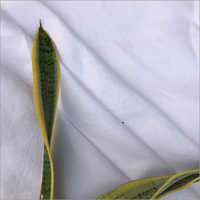 Organic Hemp Fabric