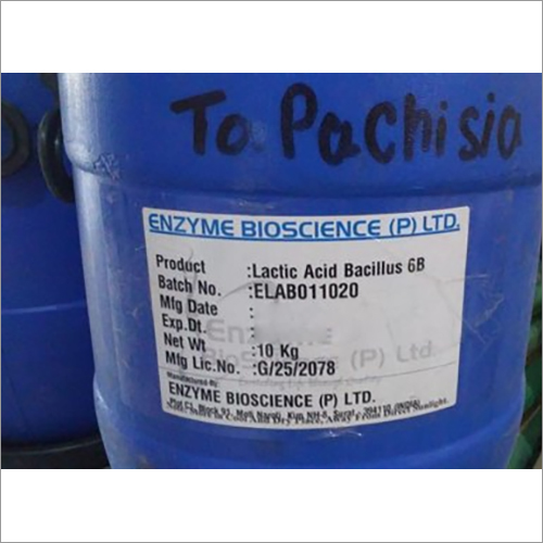 Lactic Acid Bacillus Enzyme Grade: Industrial Grade