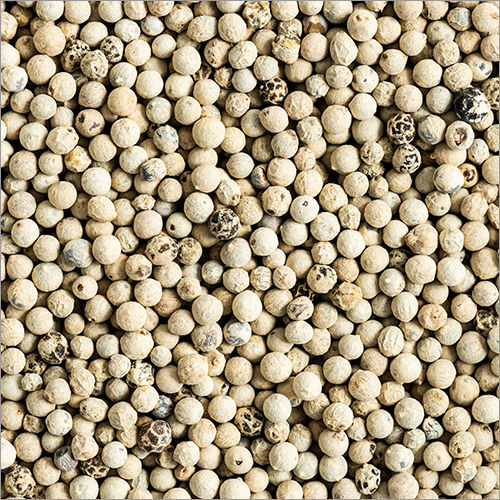 White Pepper