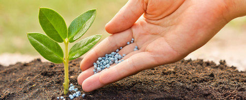 fertilizer importer