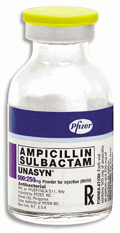 Ampicillin Sulbactam Injection