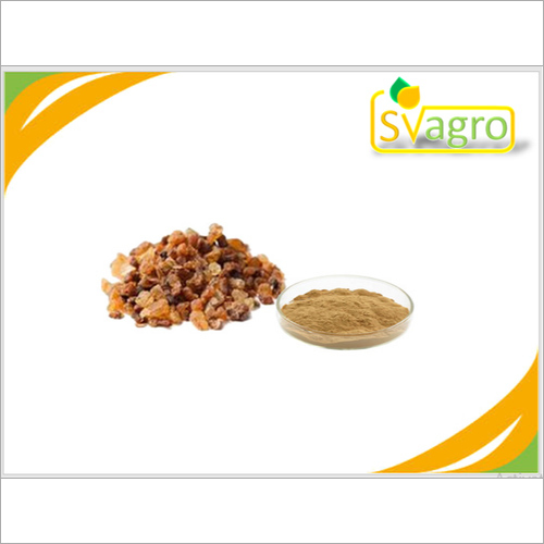 Guggul Extract By SV AGROFOOD