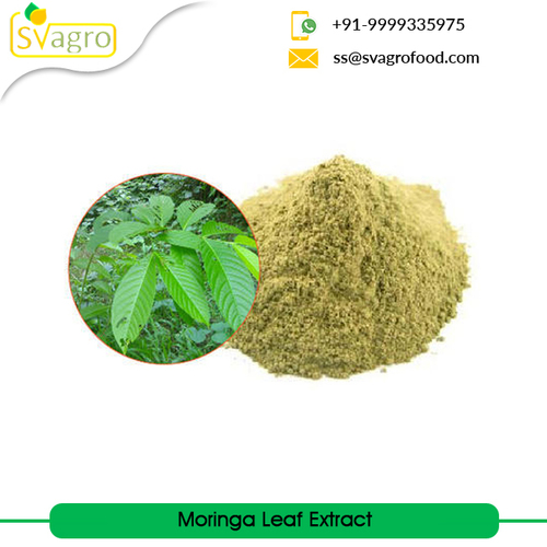 Moringa Extract