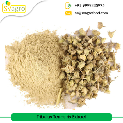 Tribulus Terrestris Extract