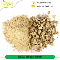 Herbs Powder Tribulus Terrestris Extract