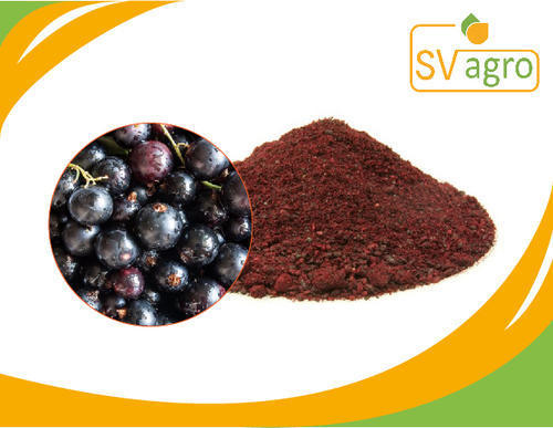 Black Currant PE Extract