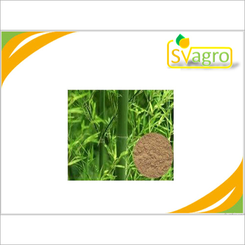 Bamboo Extract