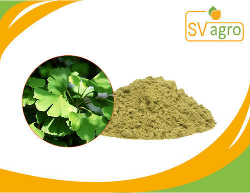 Ginkgo Leaves Extract Grade: Na