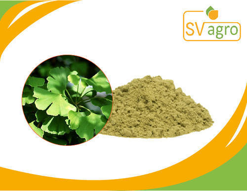 Ginkgo Leaves Extract