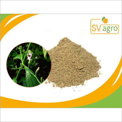 Andrographis Extract