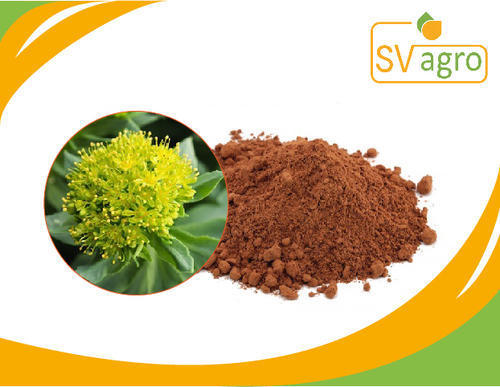 Rhodiola Extract