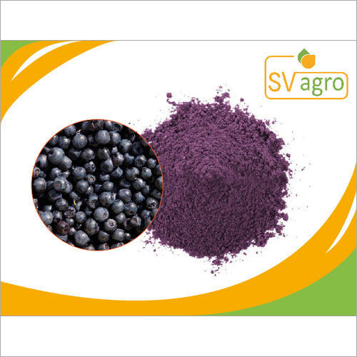 Blue Berry Extract Powder 25%