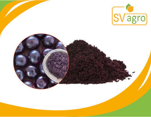 Purple And Dark Blue Acai Berry Extract 25%