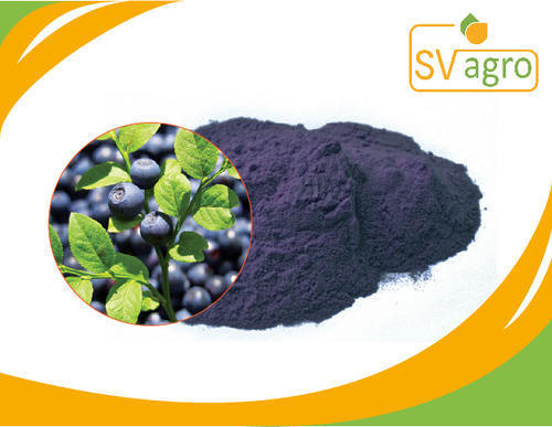 Natural Bilberry Extract